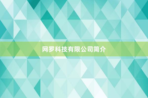 网罗科技有限公司简介