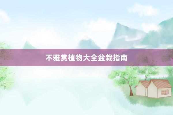 不雅赏植物大全盆栽指南