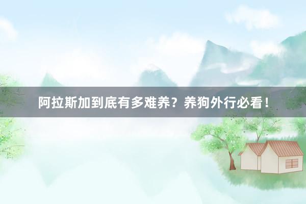 阿拉斯加到底有多难养？养狗外行必看！